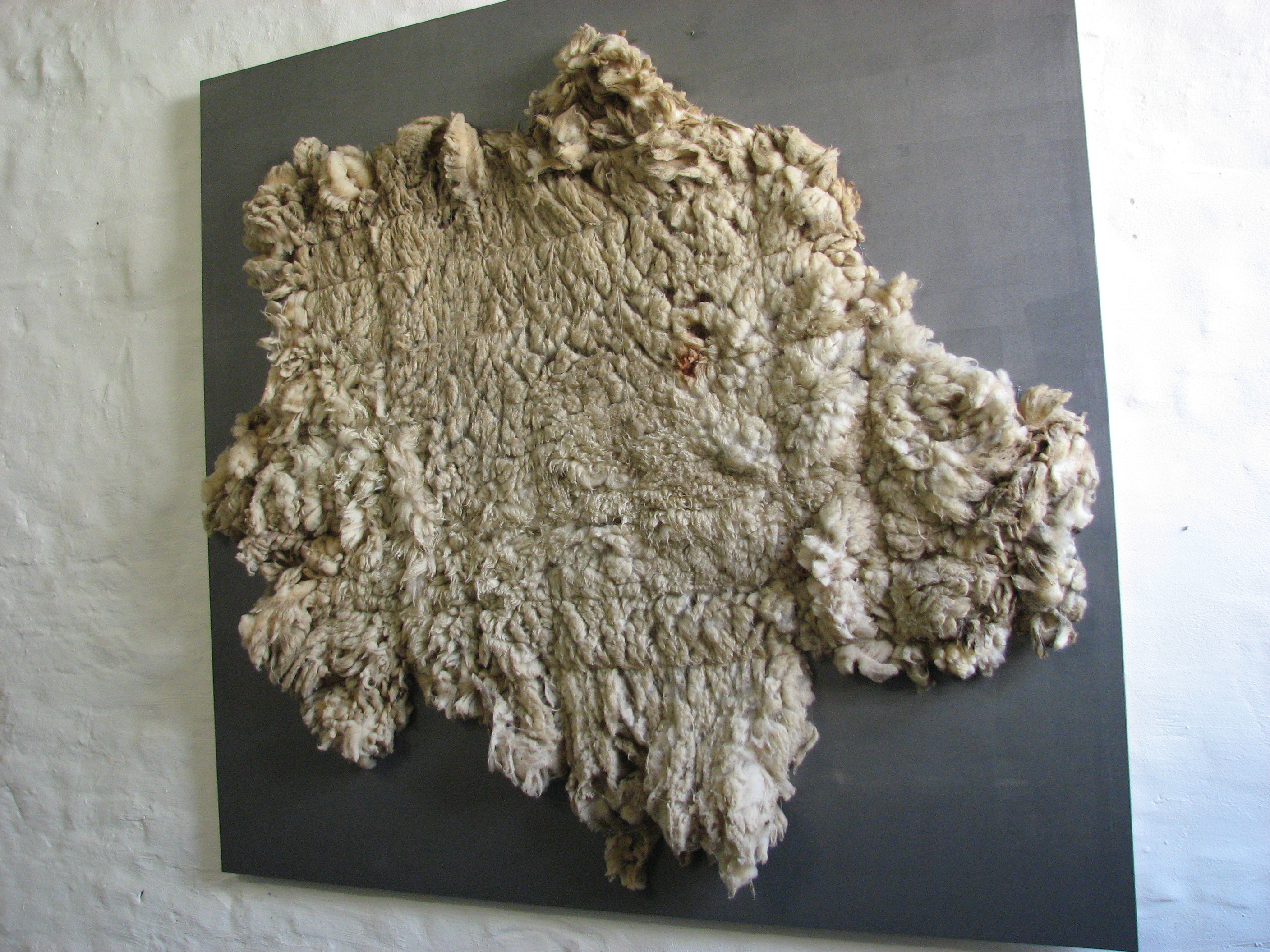 Schafsvlies